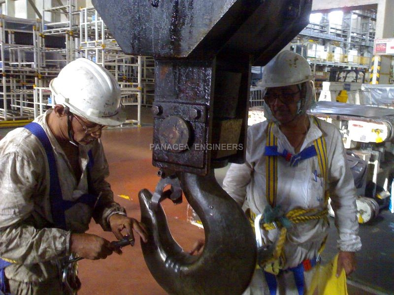 Crane Health Check up / Safety Audit